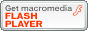 Télécharger le plugin flash